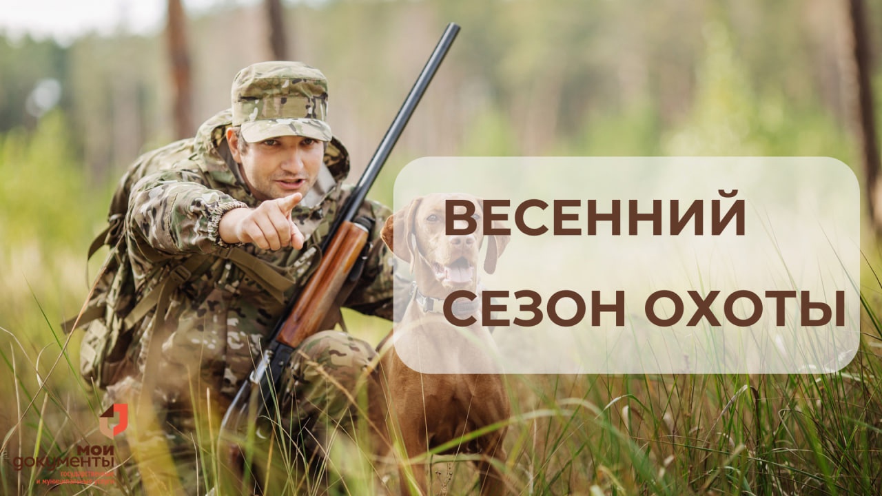 Комитет по природным ресурсам и экологии Псковской области объявил сроки весенней охоты в 2025 году..