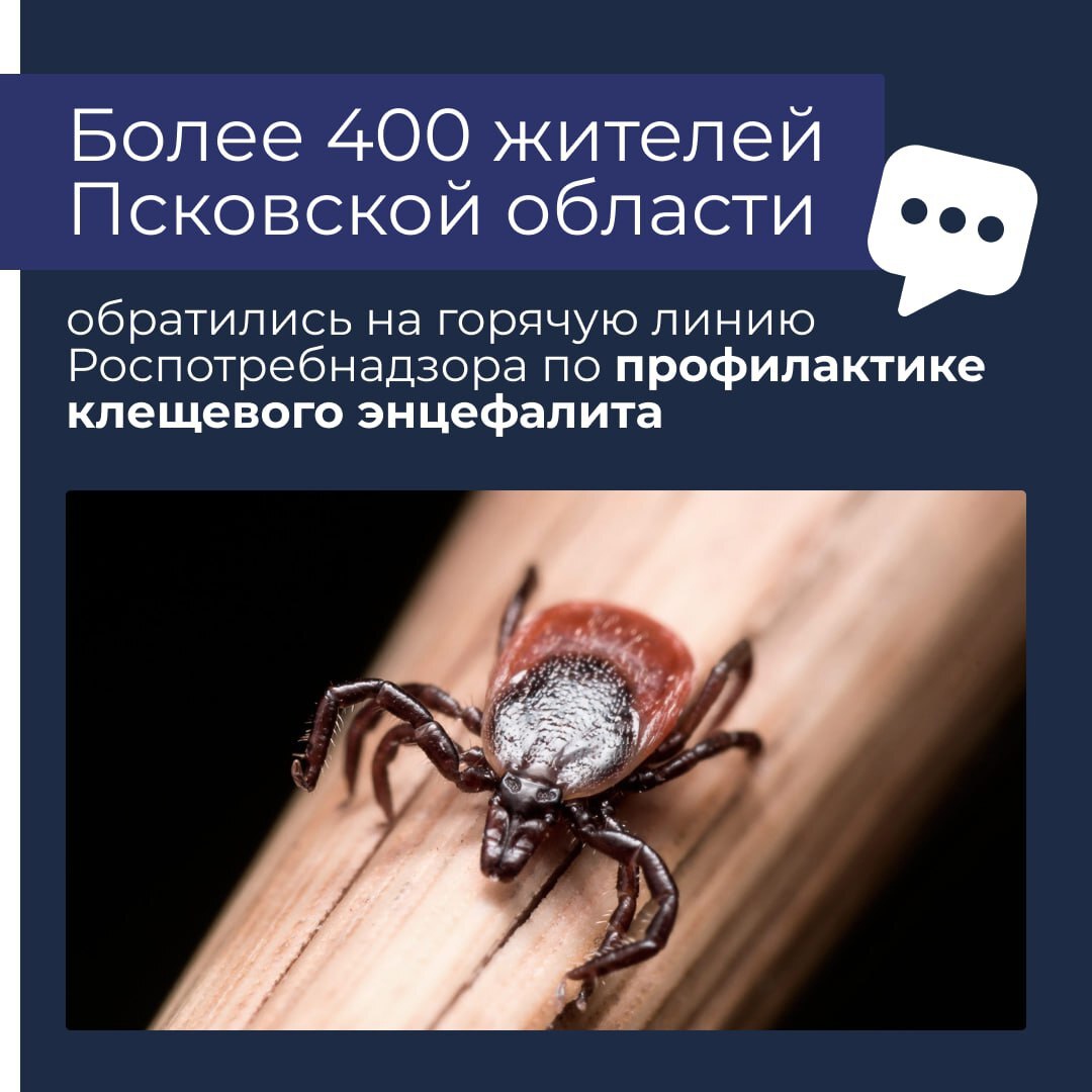 С 28 апреля по 11 мая на горячую линию Роспотребнадзора обратились 414 жителей Псковской области..
