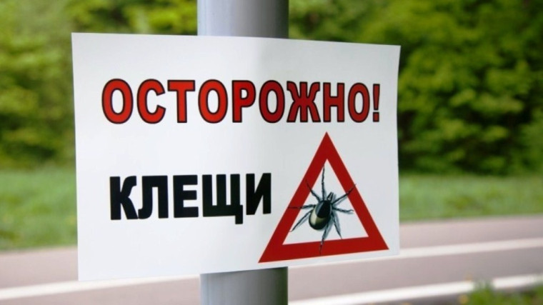ПАМЯТКА ДЛЯ НАСЕЛЕНИЯ. 🕷Осторожно - клещи!. ПАМЯТКА ДЛЯ НАСЕЛЕНИЯ. 🕷Осторожно - клещи!.