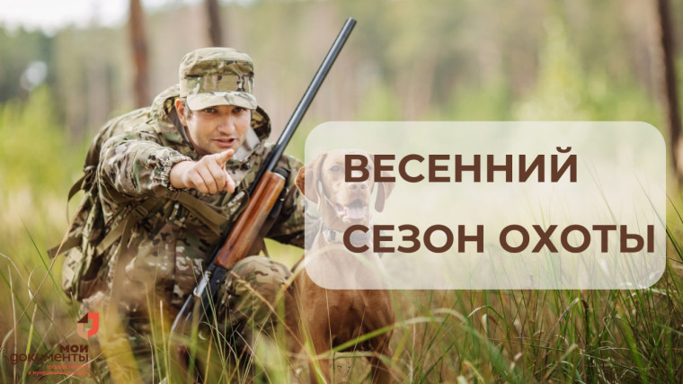 Комитет по природным ресурсам и экологии Псковской области объявил сроки весенней охоты в 2025 году.. Комитет по природным ресурсам и экологии Псковской области объявил сроки весенней охоты в 2025 году..