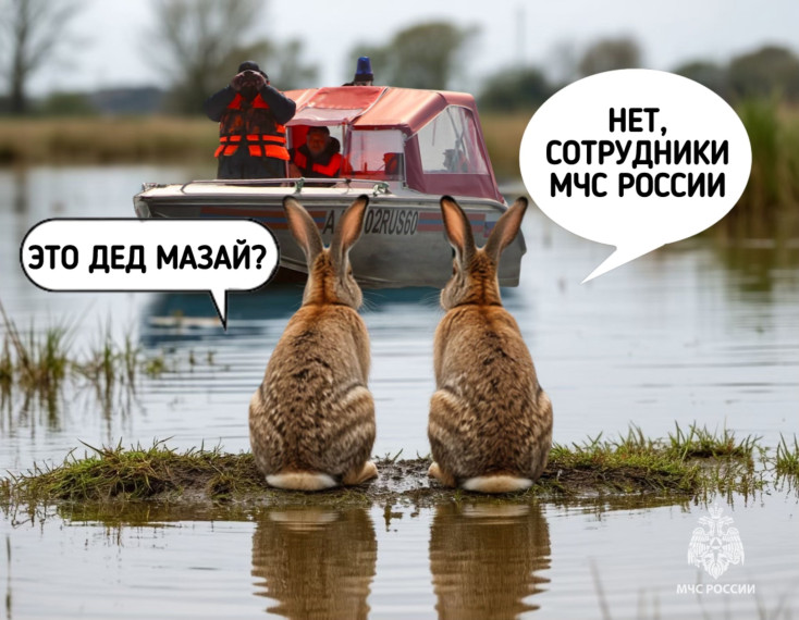 Паводок: как к нему подготовиться. Паводок: как к нему подготовиться.